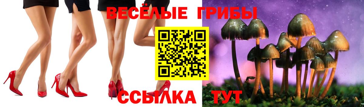 Псилоцибиновые грибы MAGIC MUSHROOMS Тольятти